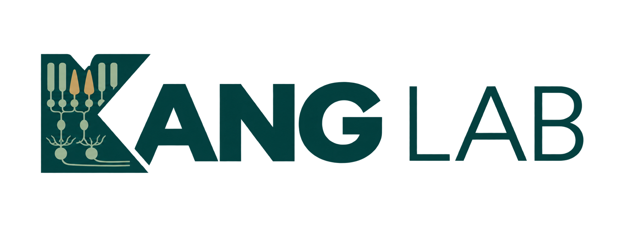 Kang Lab
